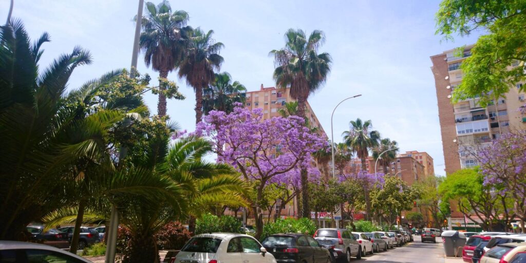 Málaga ulice