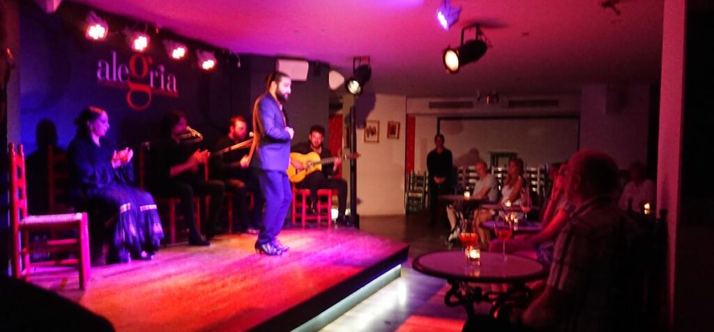Flamenco, představení v Málaze