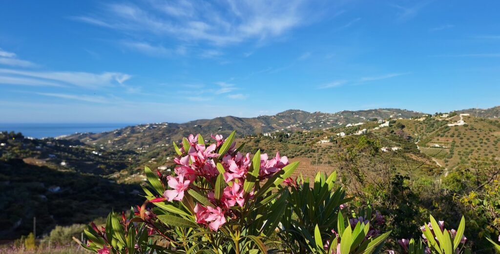 Frigiliana